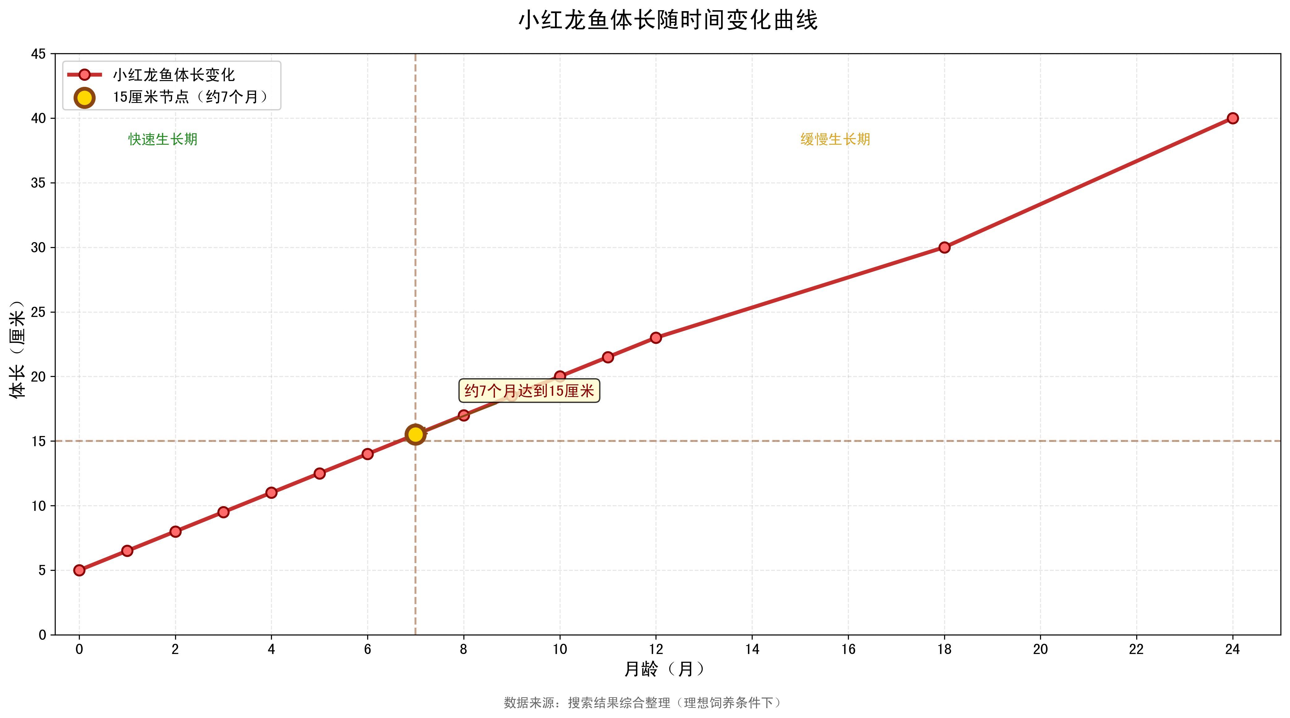 小紅龍魚多久能長到15厘米（小紅龍魚多久能長到15厘米階段生長到15厘米階段）