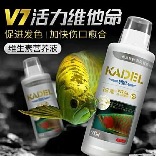 哪個(gè)品牌的龍魚益生菌評(píng)價(jià)最好？（龍魚益生菌品牌綜合評(píng)價(jià)）