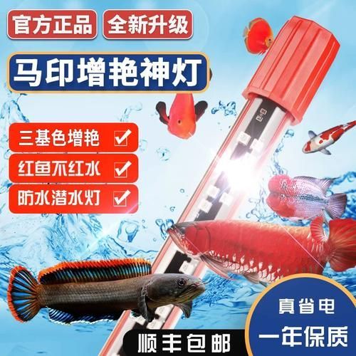 推薦幾款適合龍魚的LED燈品牌（適合龍魚led燈品牌推薦幾款適合龍魚的led燈品牌）