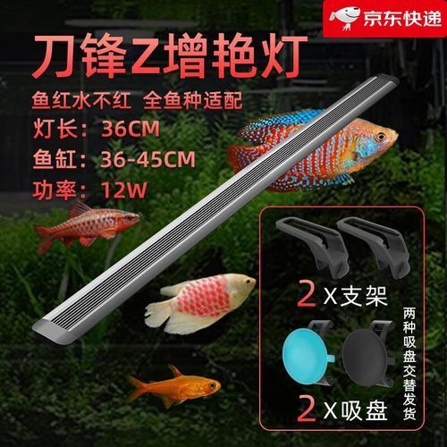 推薦幾款適合龍魚的LED燈品牌（適合龍魚led燈品牌推薦幾款適合龍魚的led燈品牌）
