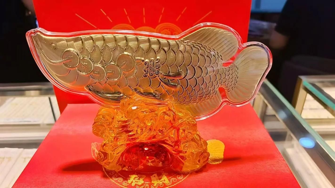 有沒有其他與“鴻福”相關的龍魚產品？（“鴻福”龍魚產品價格范圍是多少，鴻福龍魚產品選購指南）