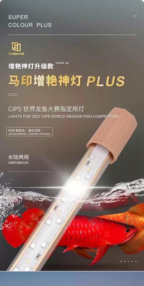 推薦幾款適合紅龍魚的2700K燈（紅龍魚燈光搭配使用指南）