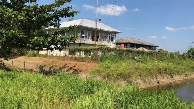 祥龍魚場哪個市的產量最高？（祥龍魚場產量定位）