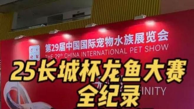 2025年長城杯龍魚大賽有哪些組別？（2025年長城杯龍魚大賽全紀錄(美鱗龍魚診所）