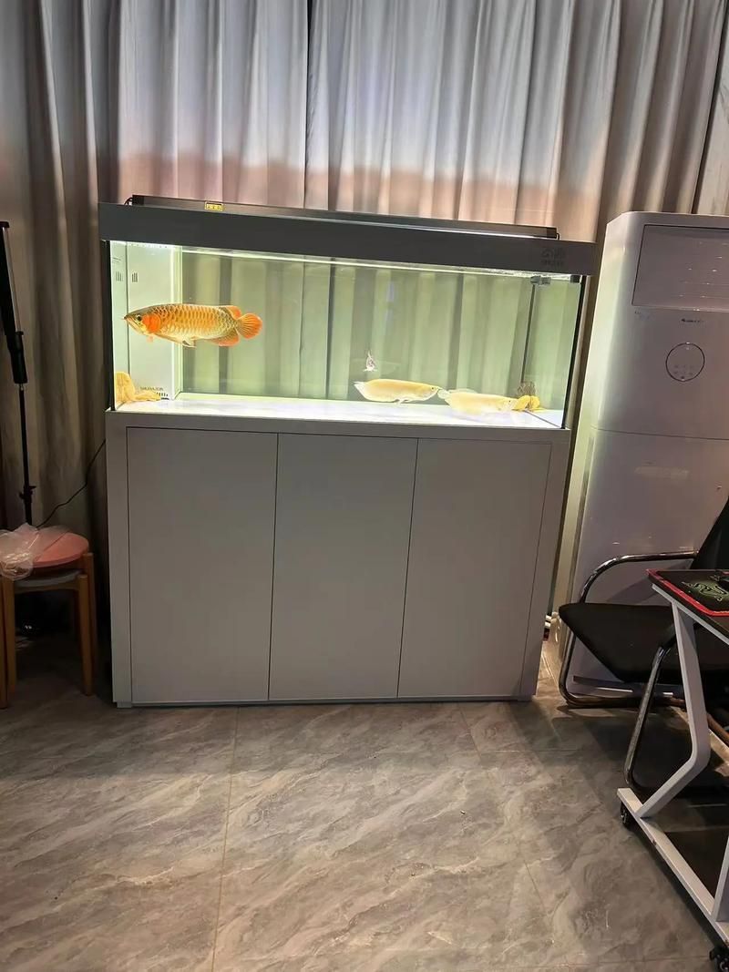 水鴨魚缸有哪些型號推薦（水鴉魚缸型號對比表）