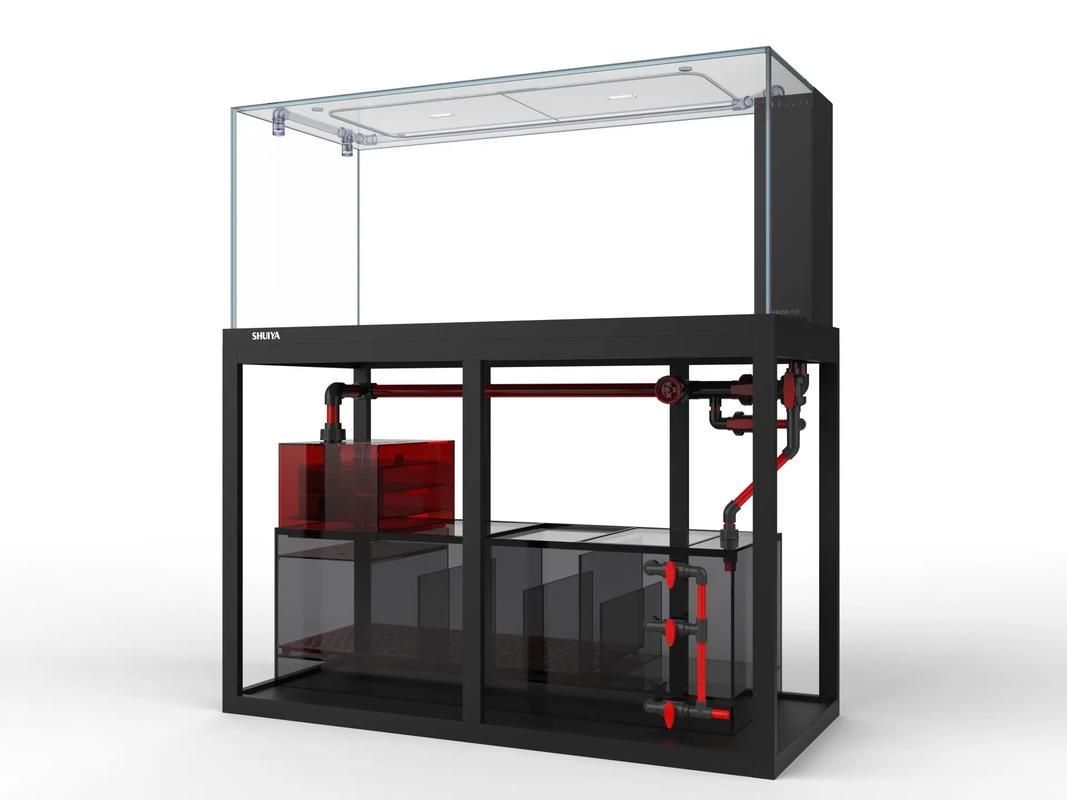 水鴨魚缸有哪些型號推薦（水鴉魚缸型號對比表）