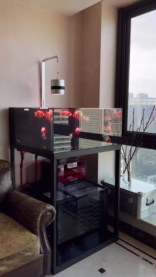 水鴨魚缸有哪些型號推薦（水鴉魚缸型號對比表）