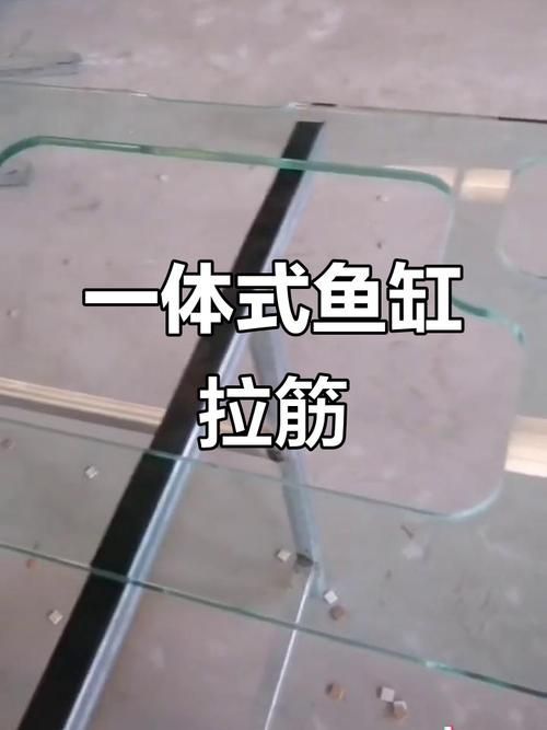 如何判斷一個(gè)魚缸品牌是否可靠？（一個(gè)魚缸品牌是否可靠）