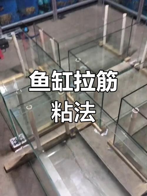 如何判斷一個(gè)魚缸品牌是否可靠？（一個(gè)魚缸品牌是否可靠）