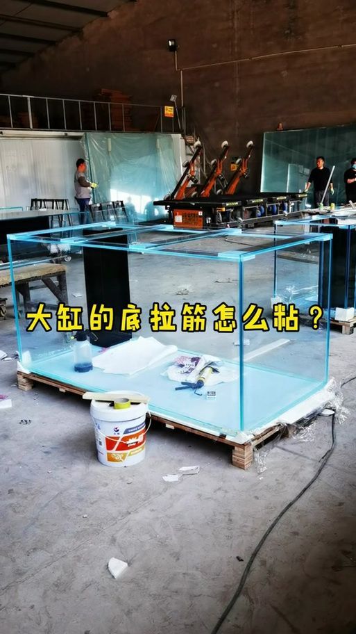 如何判斷一個(gè)魚缸品牌是否可靠？（一個(gè)魚缸品牌是否可靠）