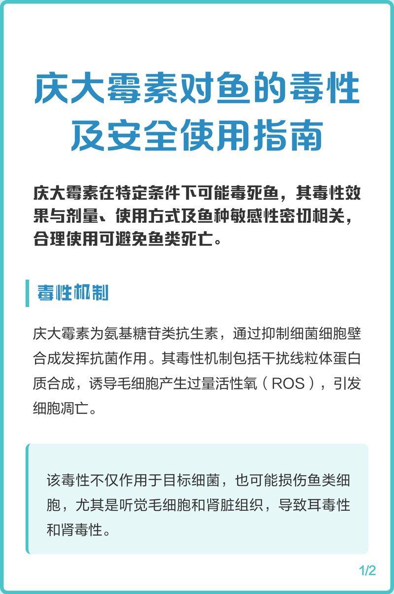氟哌酸治療龍魚細菌感染的具體方法（氟哌酸治療龍魚細菌感染）