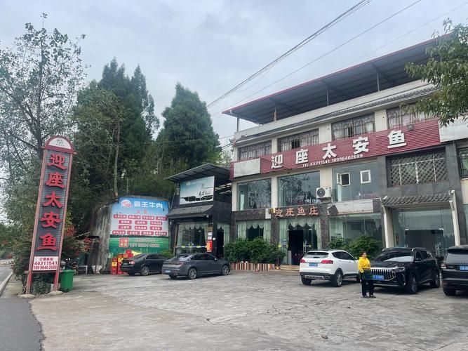 土龍魚在海南有哪些著名的餐館推薦？（海南土龍魚餐廳推薦）