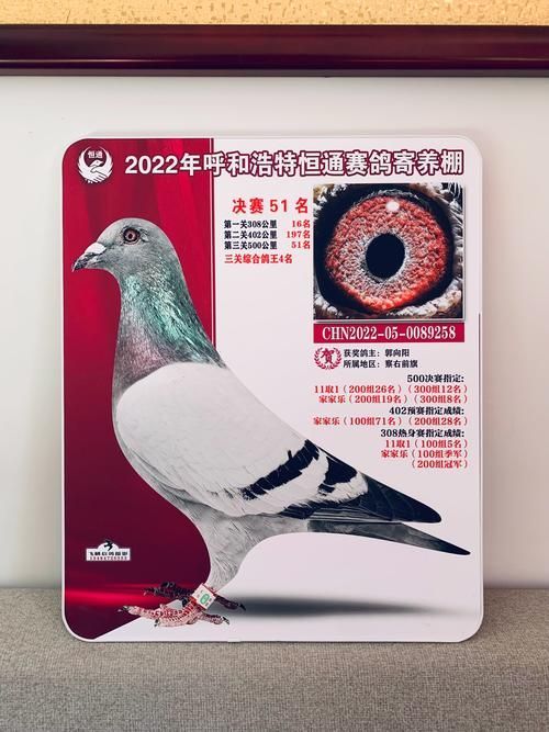 南雄龍魚的市場供應(yīng)情況如何？（南雄龍魚市場供應(yīng)數(shù)據(jù)需求詳解南雄龍魚市場供應(yīng)信息）