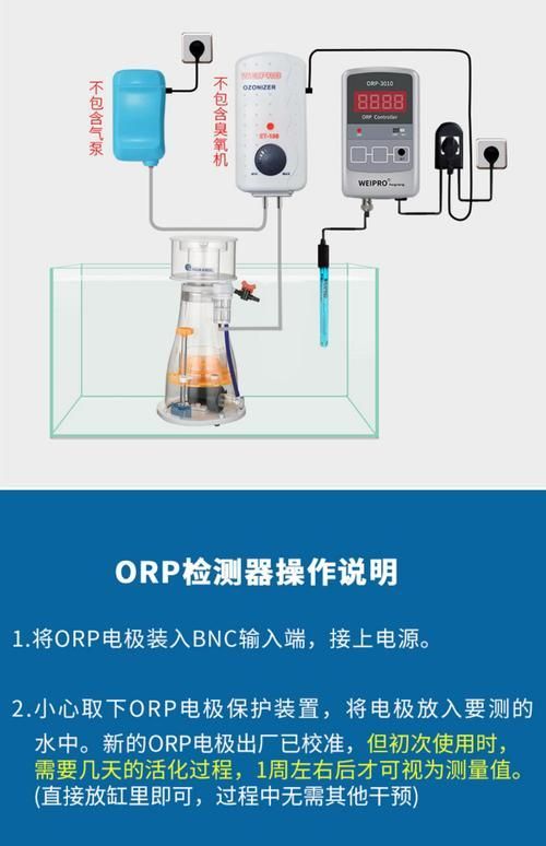 如何預(yù)防銀龍魚(yú)的常見(jiàn)疾病？（養(yǎng)殖銀龍魚(yú)的基礎(chǔ)知識(shí)）