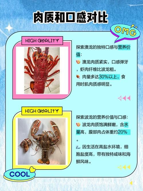 青龍魚和澳龍有哪些相似之處？（青龍魚和澳洲龍蝦的相似之處（scleropagesformosus））