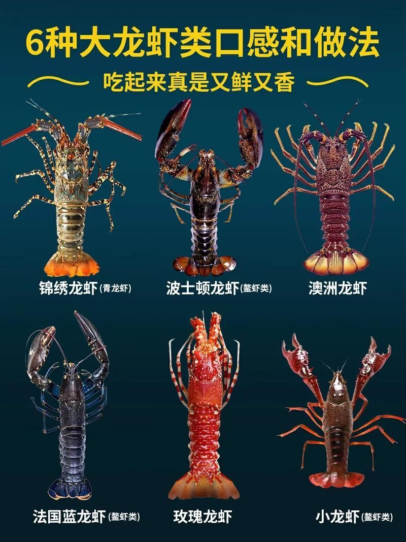 青龍魚和澳龍有哪些相似之處？（青龍魚和澳洲龍蝦的相似之處（scleropagesformosus））