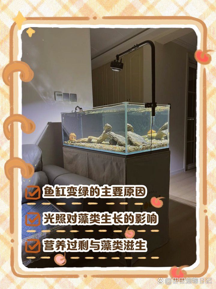 魚缸水變綠是正常現(xiàn)象嗎？（如何判斷魚缸水變綠）