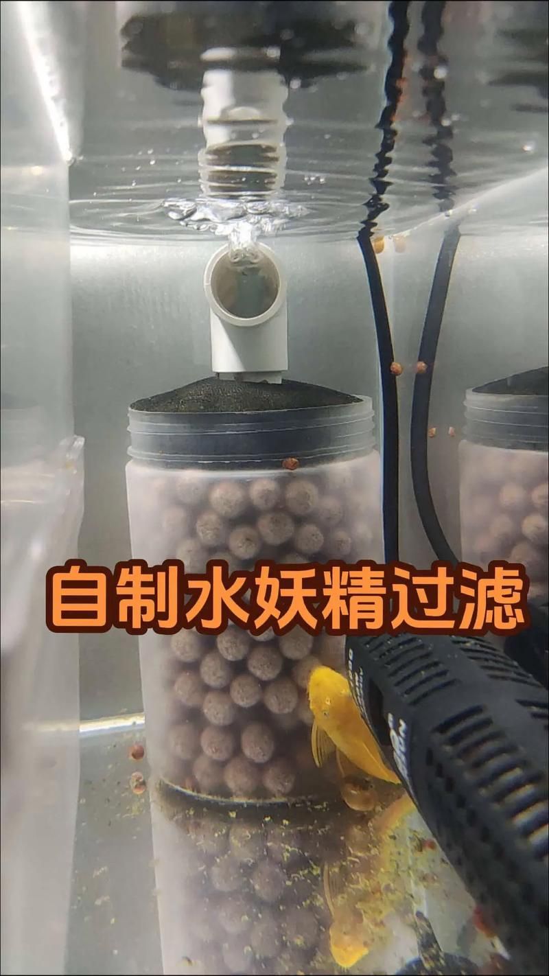 有哪些方法可以降低魚缸水流速度？（降低魚缸水流速度）