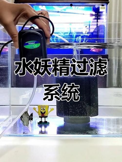 有哪些方法可以降低魚缸水流速度？（降低魚缸水流速度）