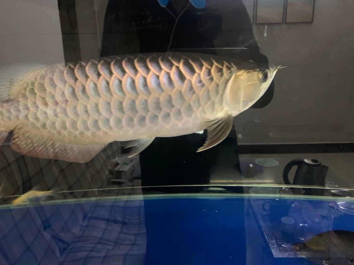 每天打卡（每天打卡對個人發展的積極貢獻并鼓勵讀者將融入日常生活）