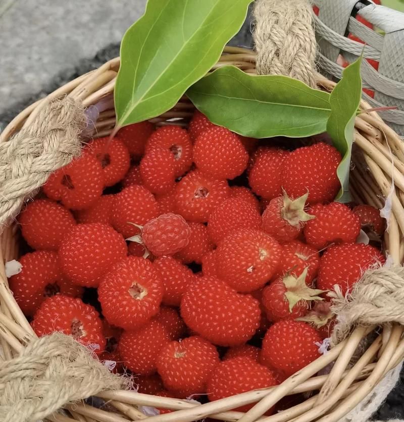 用藥期間需要注意什么（服藥時，這些注意事項你了解嗎）