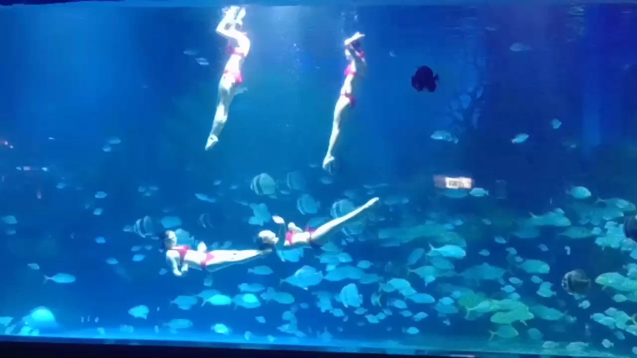 隨拍（宇哥6519評論：隨拍的藝術與實踐，作為一種新興的攝影藝術形式）