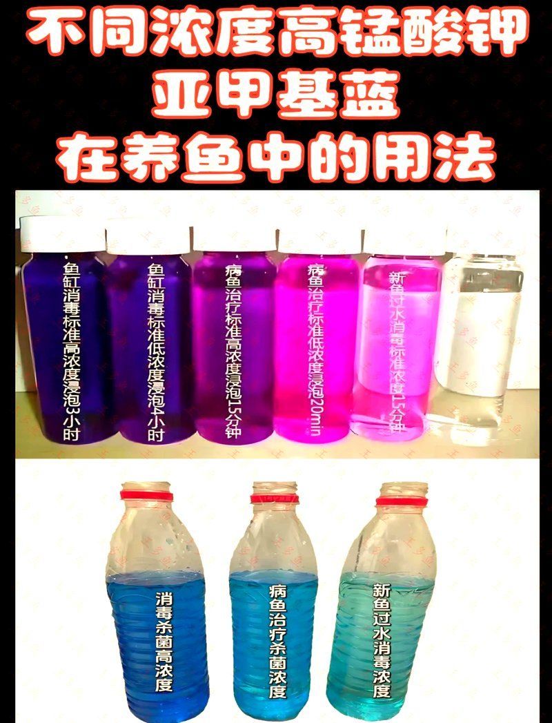 龍魚(yú)寄生蟲(chóng)預(yù)防用藥有哪些注意事項(xiàng)（西安龍魚(yú)寄生蟲(chóng)預(yù)防用藥–注意事項(xiàng)（1000字+配圖））