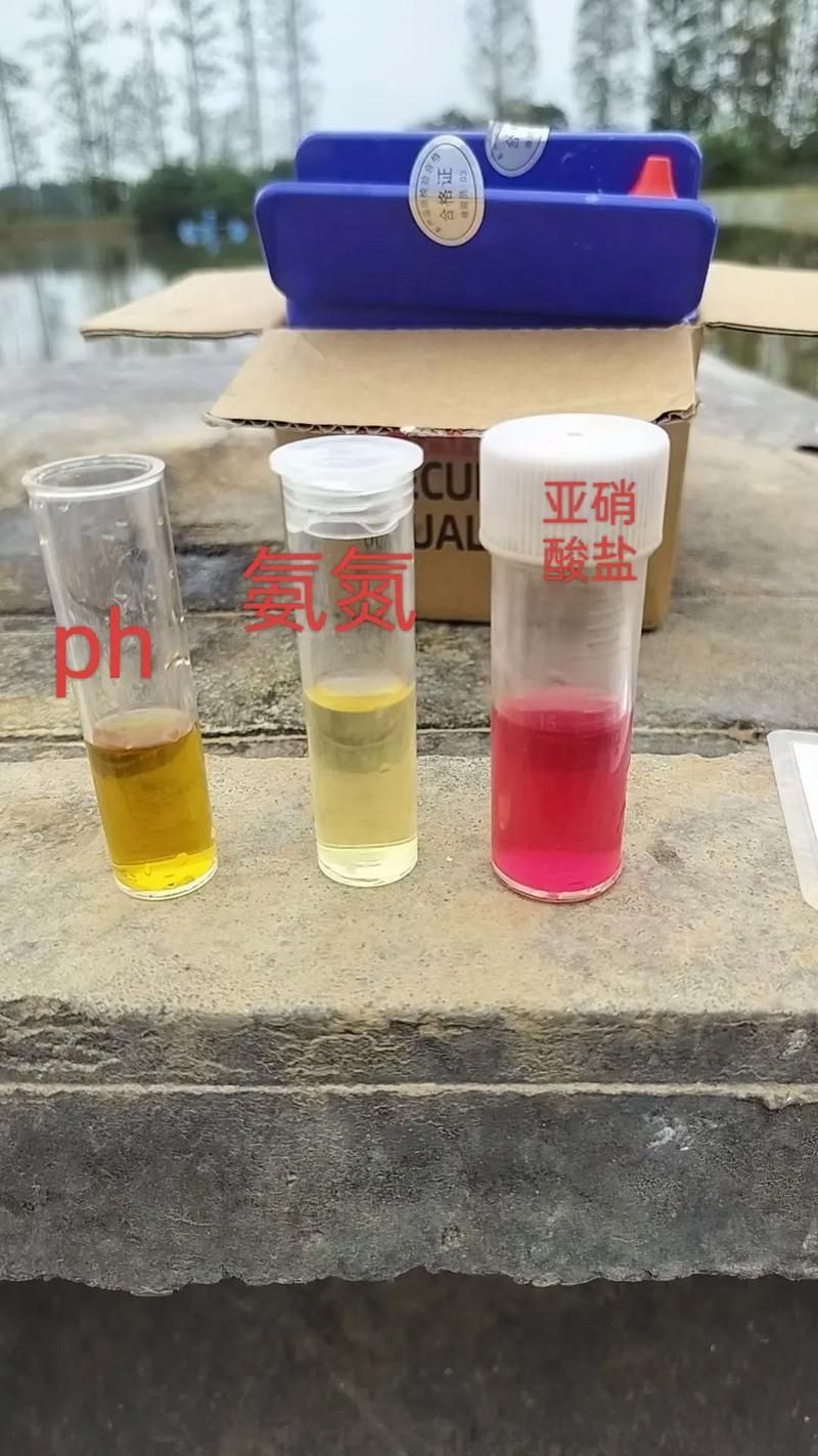 龍魚浮頭最簡單的做法（富媒體組件庫主動召回龍魚浮頭狀態圖文詳解1000字配圖要求）