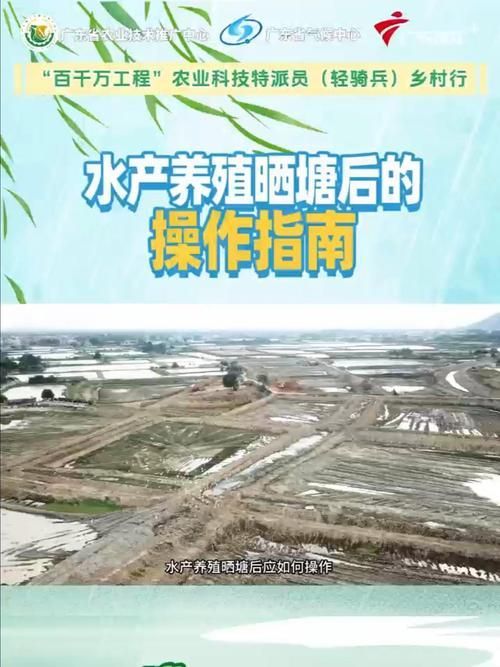 如何預防細菌性魚病的發(fā)生（如何預防細菌性魚病）