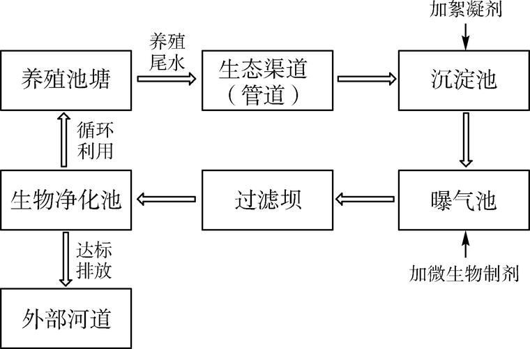 如何預防細菌性魚病的發(fā)生（如何預防細菌性魚病）