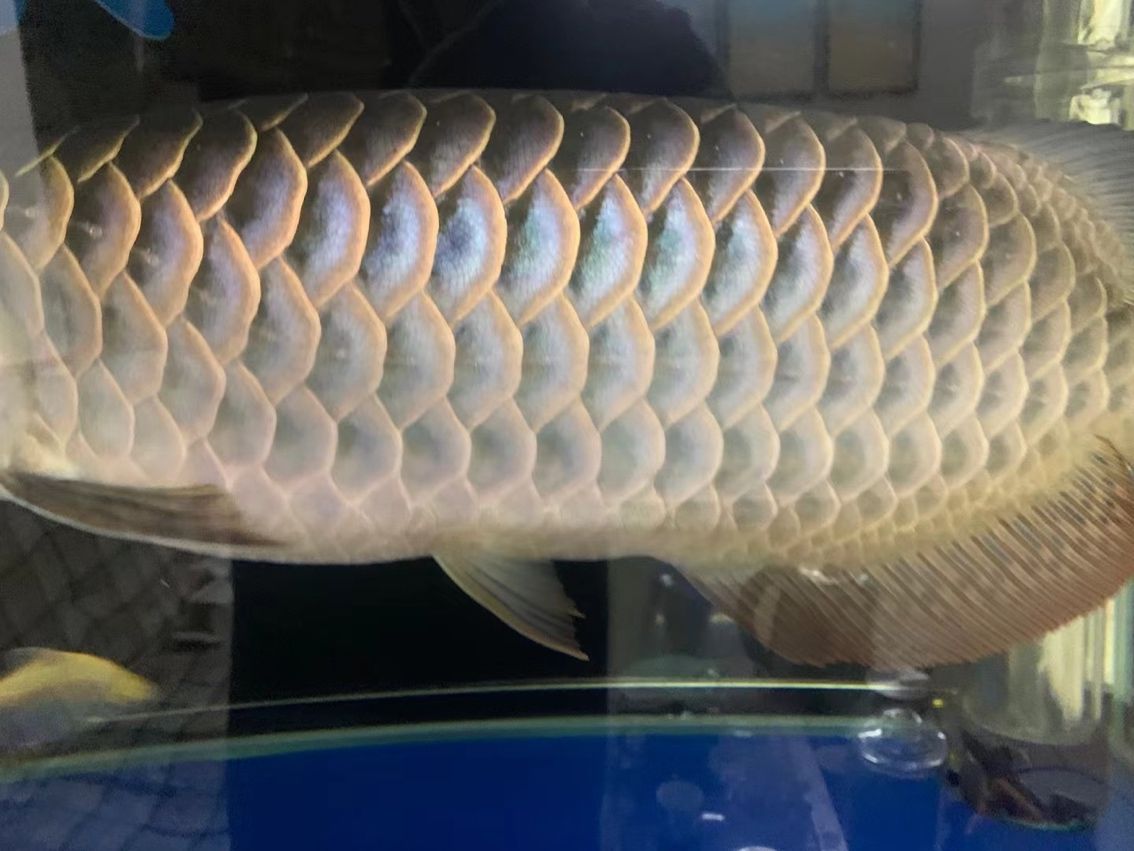 每天打卡（北京老寧評論：每天打卡的啟示）