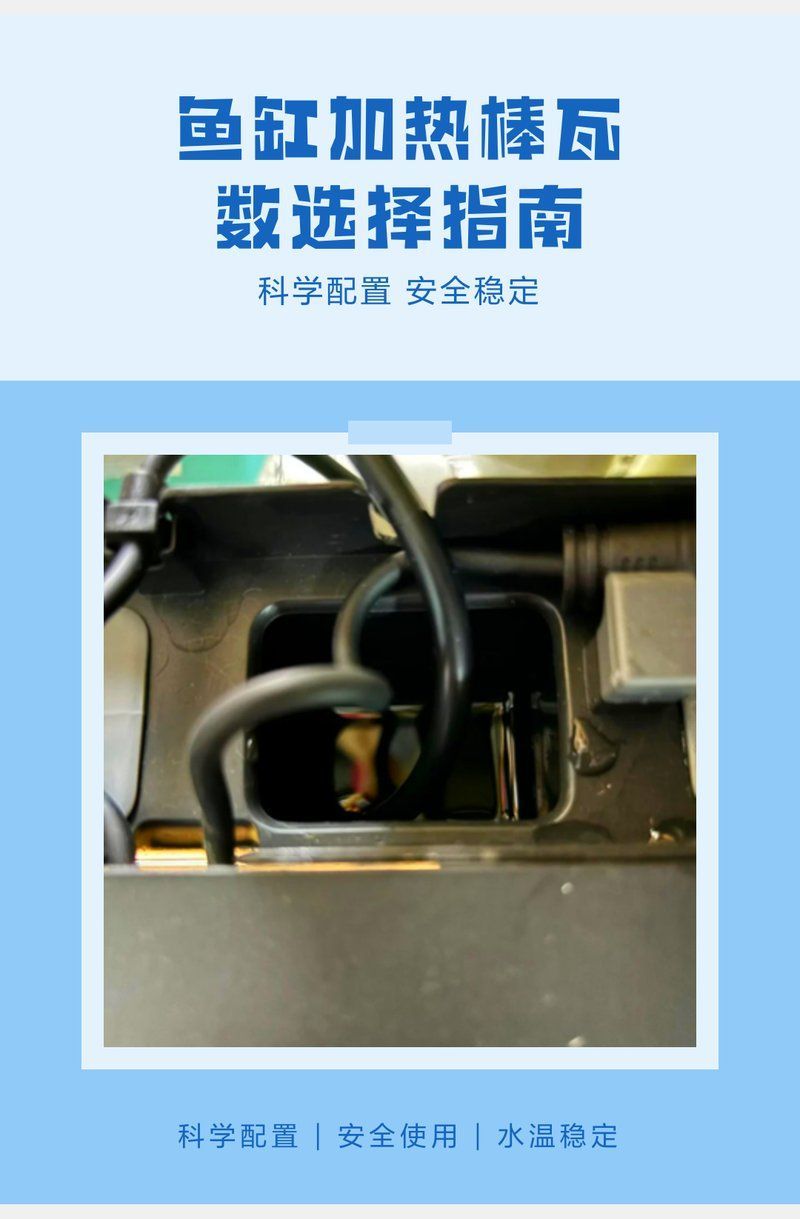 龍魚養殖需要哪些專業設備（東莞龍魚養殖龍魚養殖需要龍魚養殖設備和過濾系統）