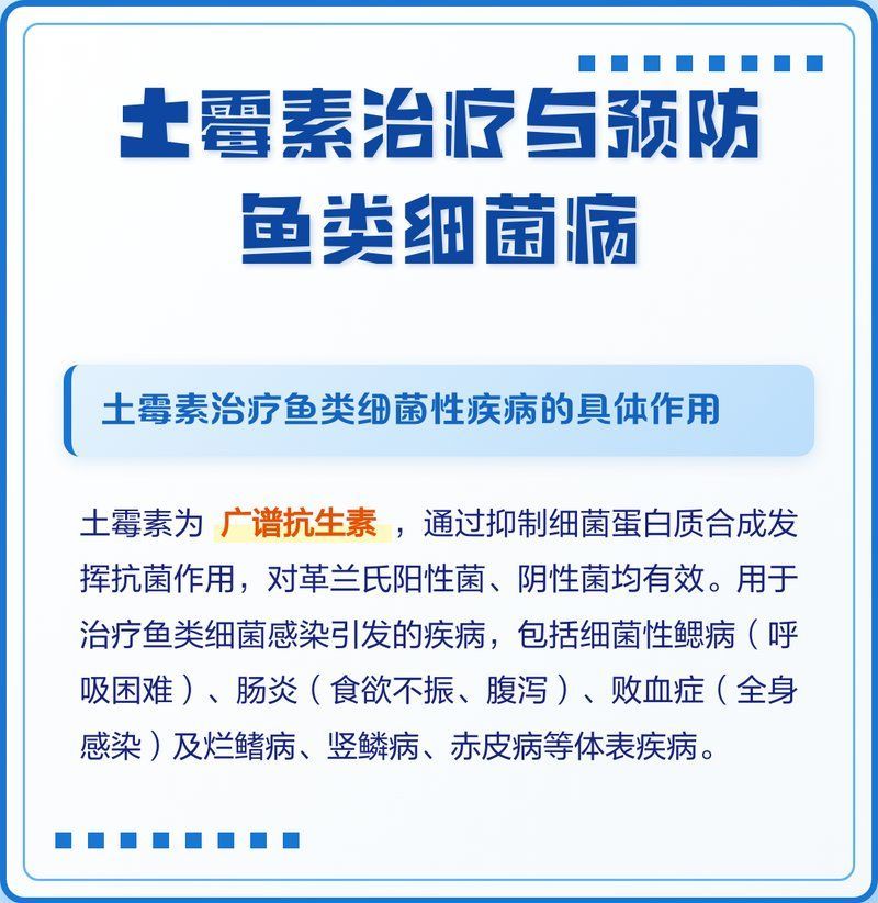 土霉素治療錦鯉爛身需要多長時間（土霉素治療錦鯉爛身的每日操作清單）
