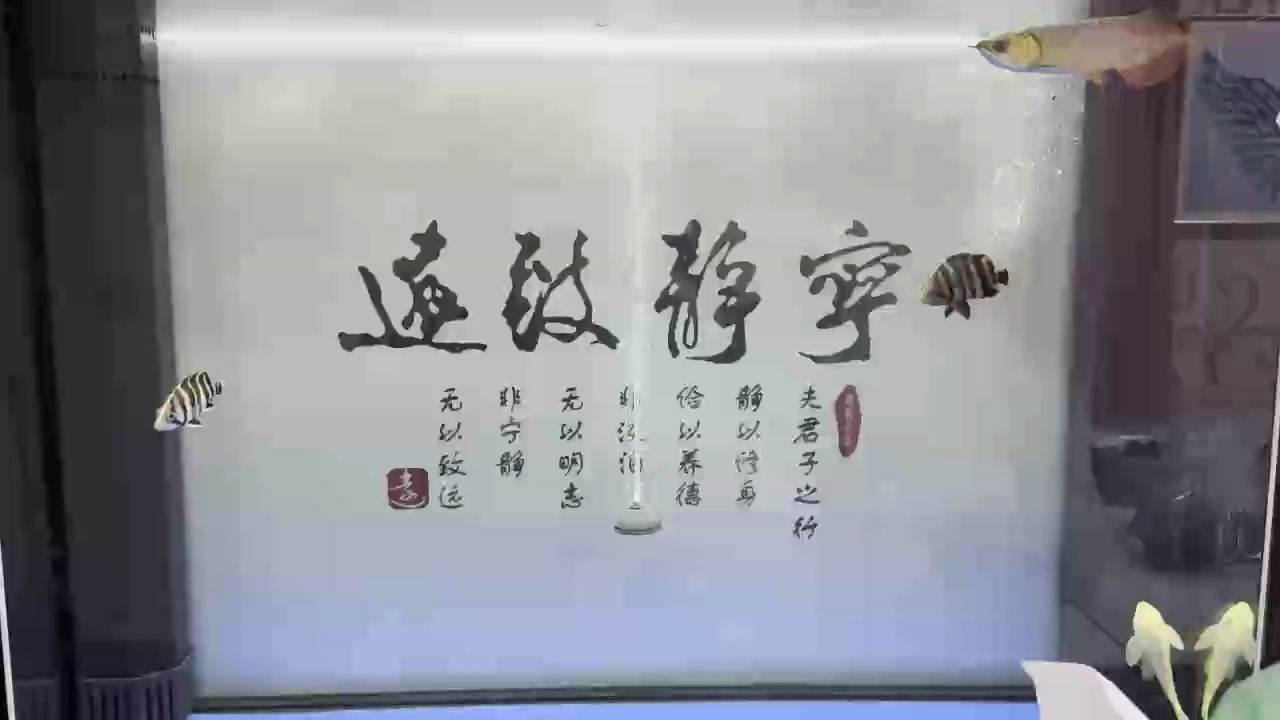 打卡（打卡是一種怎樣的體驗(yàn)？）
