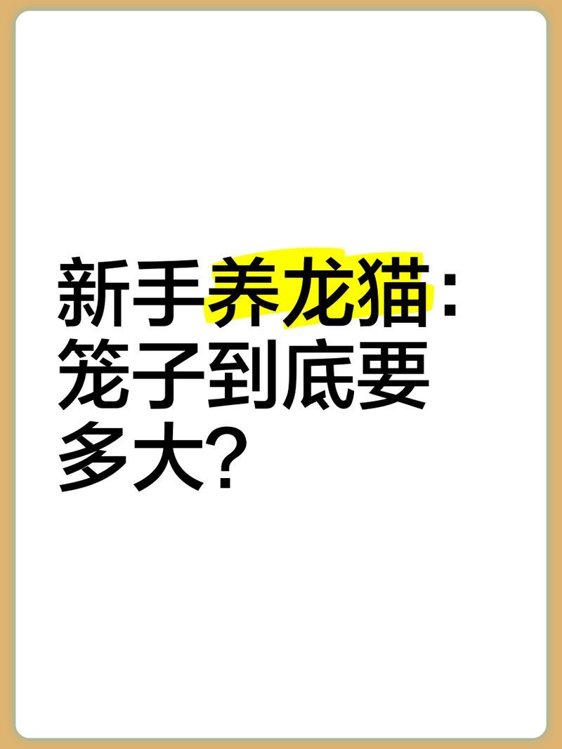 如何判斷龍貓籠是否合適（——龍貓籠選購指南）