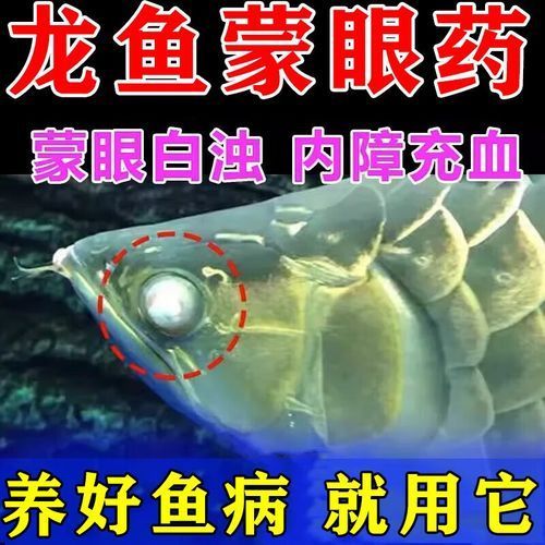 給我一些預防龍魚蒙眼的圖片（如何預防龍魚蒙眼）