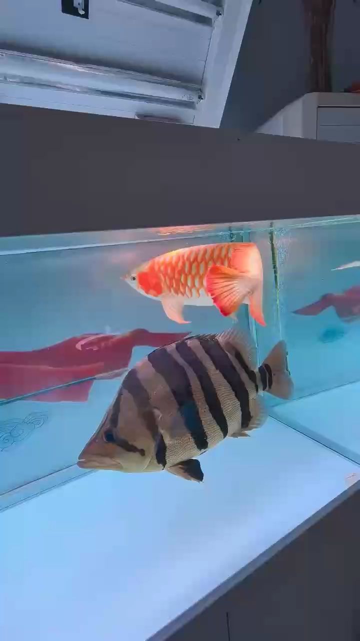 （_小金龍評論：全球氣候變化對農業的影響）