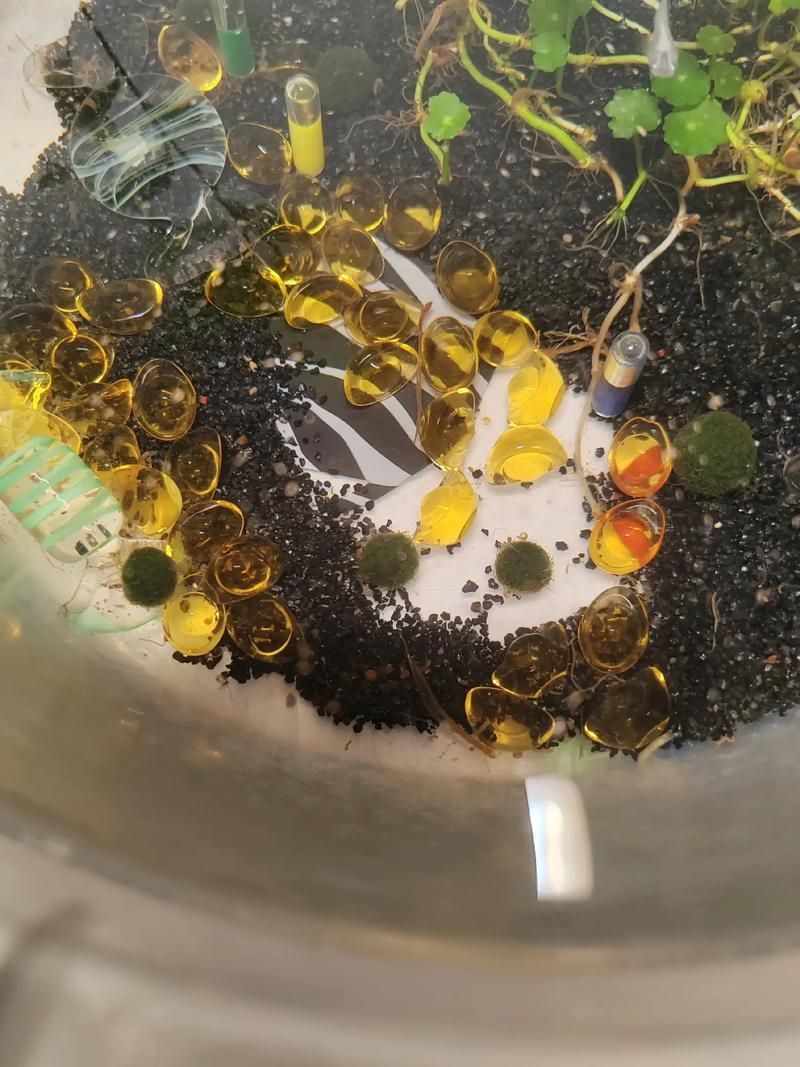 如何保護(hù)魚卵不被其他魚類啄食（arxiv論文助手arxiv論文助手mcp工具arxiv論文助手）