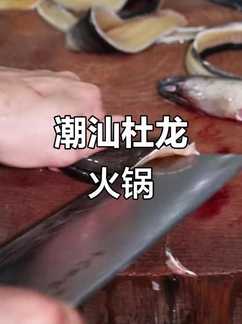 汕頭哪家火鍋店的杜龍魚最新鮮？（汕頭最新鮮杜龍魚火鍋首選閩粵海鮮火鍋首選）