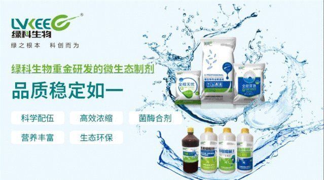 如何判斷魚病種類（arxiv論文助手arxiv論文助手arxiv論文助手）