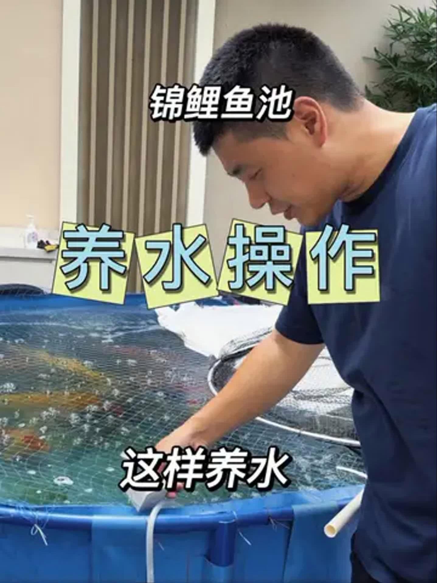 如何改善龍魚和錦鯉的健康（龍魚和錦鯉的健康狀態直接影響到飼養者的心情投入）