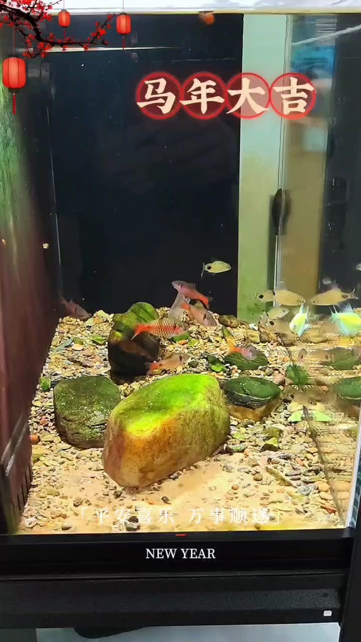 新年快樂（新年快樂，祝大家新年快樂）