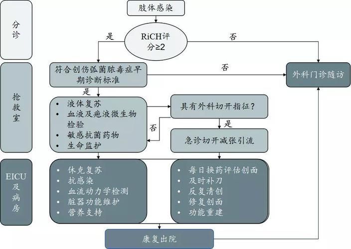 弧菌病有哪些防控措施（arxiv論文助手arxiv論文助手的防控措施）