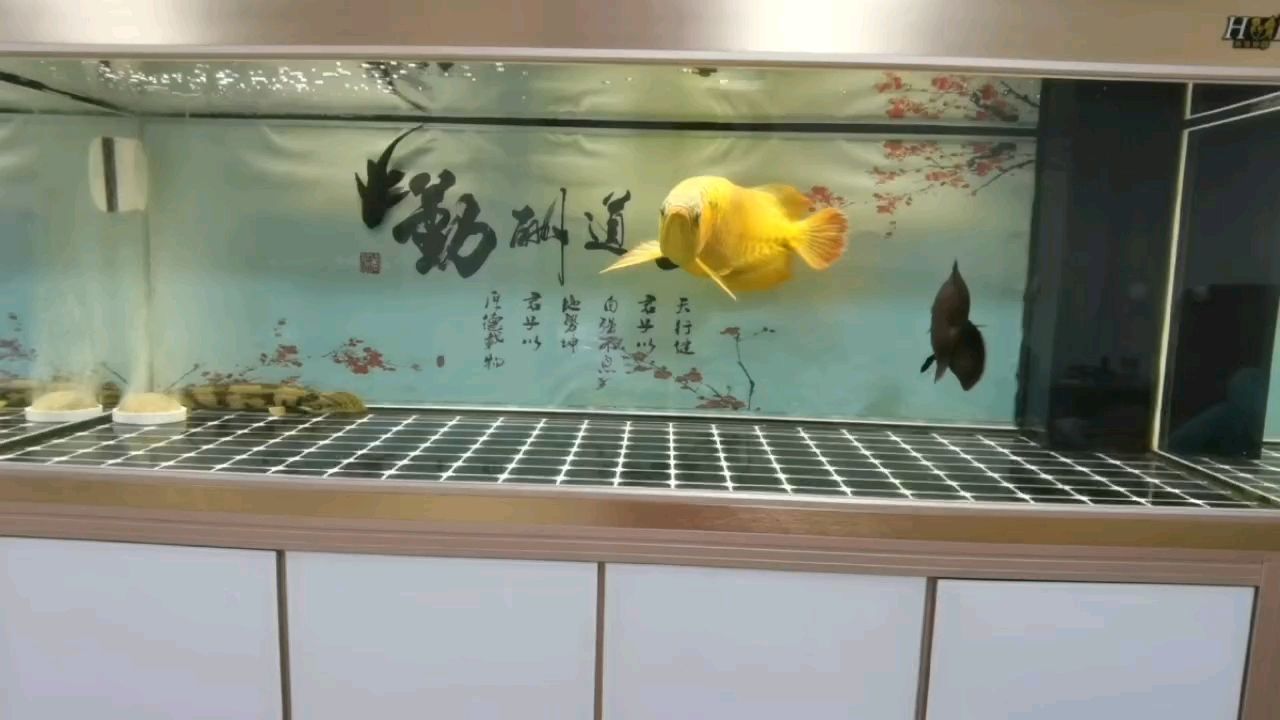 ??年吉祥！??上發財！??到成功?。昙榈匠晒Γ』锊粠沖人見人愛評論）