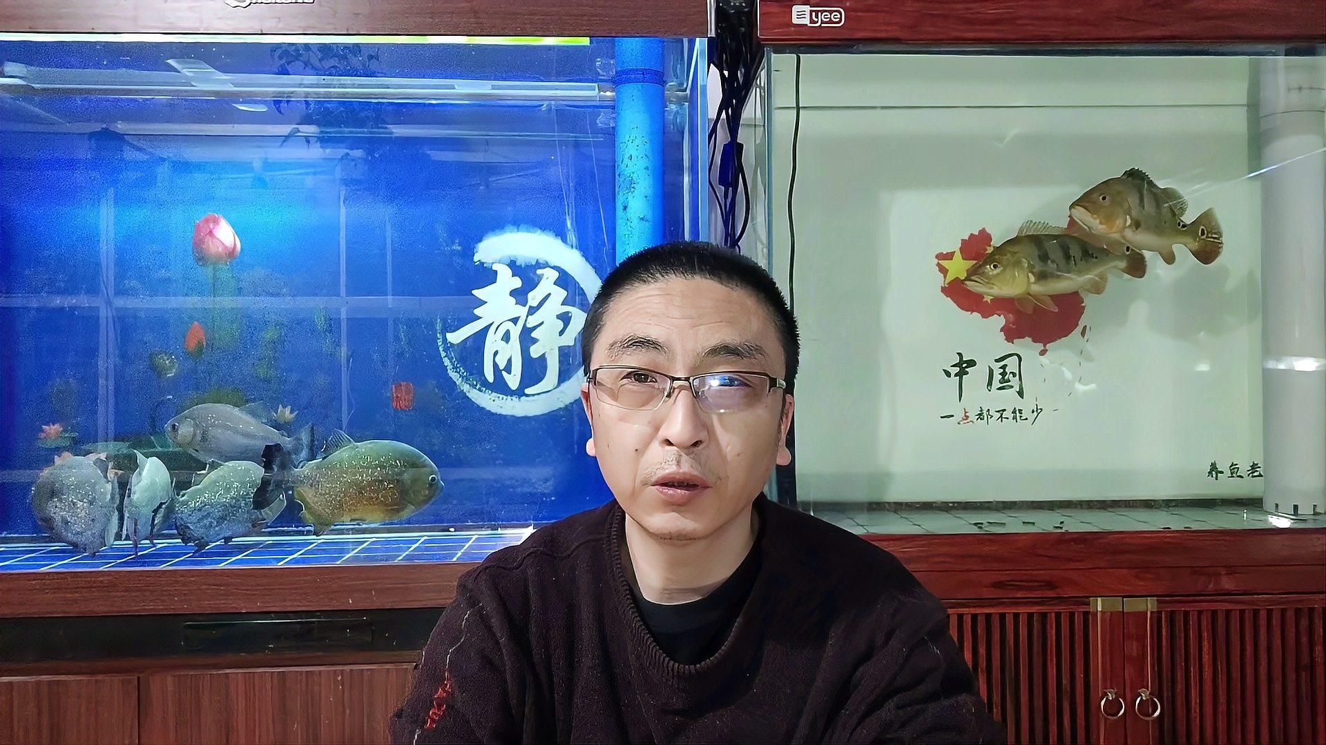 如何判斷魚趴缸底是哪種原因（如何判斷魚趴缸底會自行恢復嗎，哪種原因導致的魚趴缸底最危險）