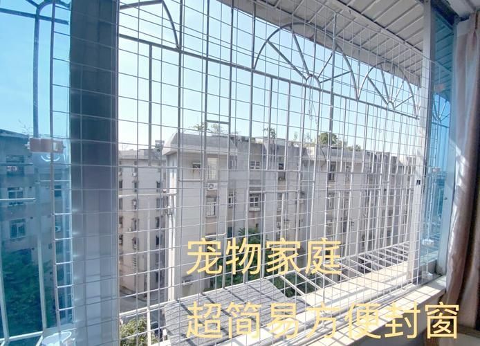 如何確保龍貓和貓的安全（如何確保龍貓和貓的安全，龍貓和貓的安全風險及防護措施）