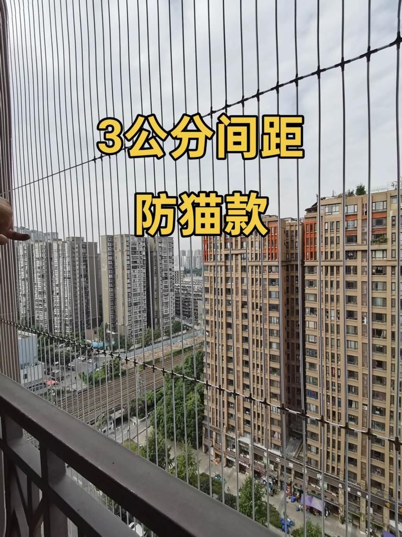 如何確保龍貓和貓的安全（如何確保龍貓和貓的安全，龍貓和貓的安全風險及防護措施）