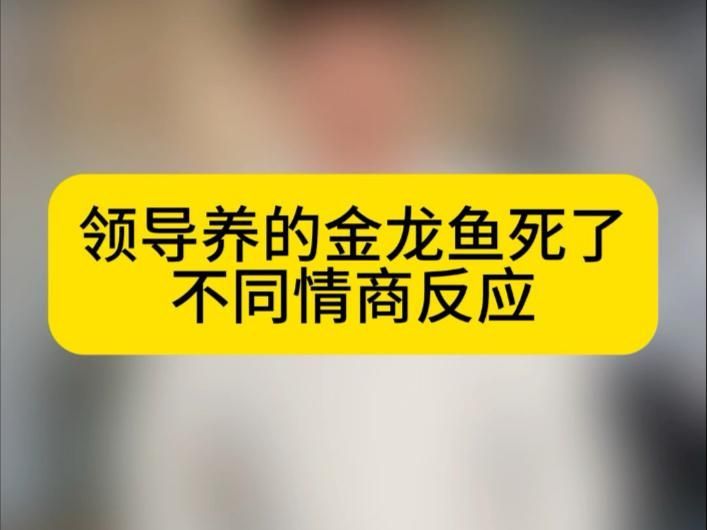 龍魚死亡對家庭運勢有何影響（如何科學解釋龍魚死亡？）