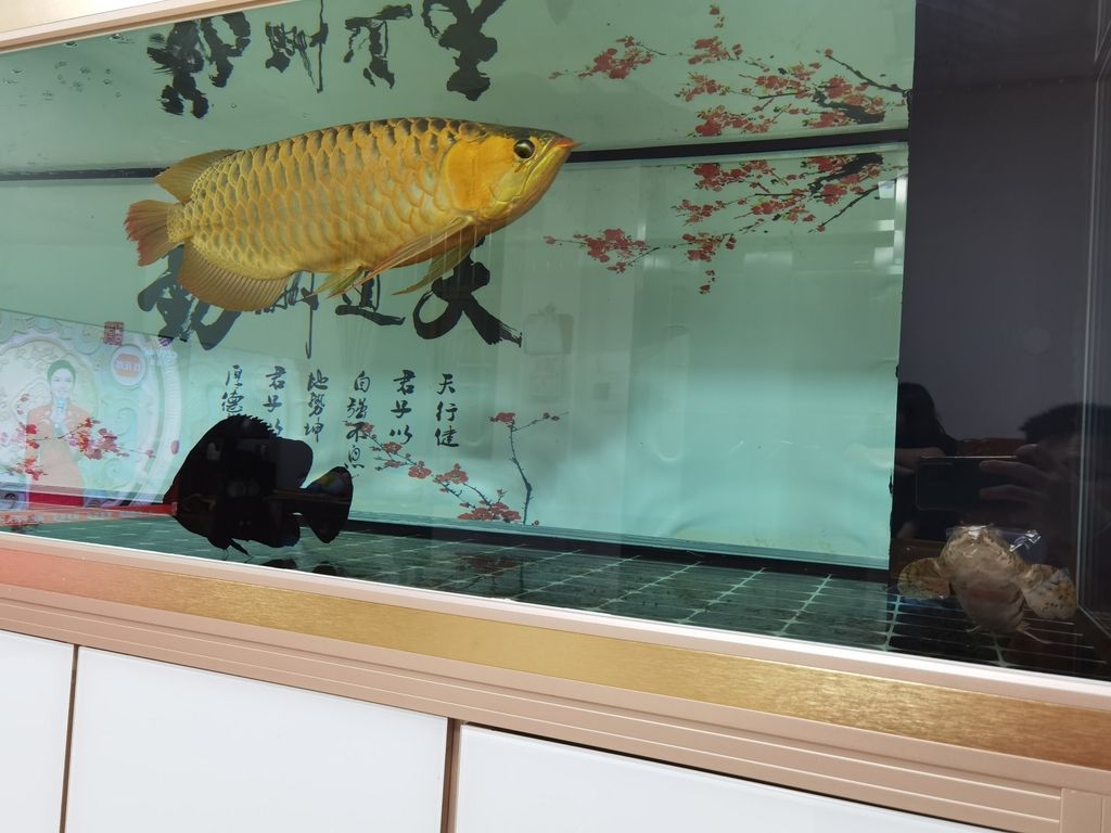 （全球氣候變化對(duì)農(nóng)業(yè)的影響）