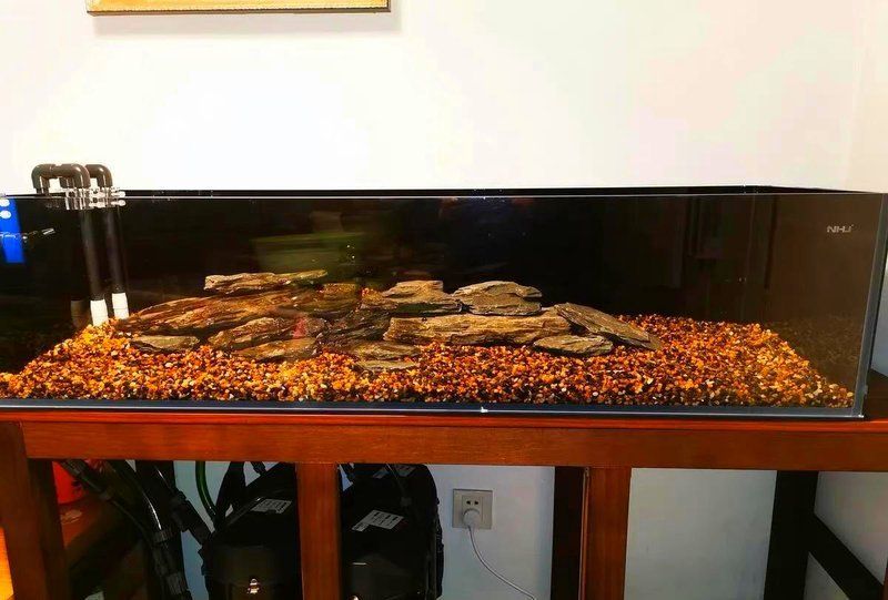 西安魚友如何應(yīng)對(duì)硬水問題（如何判斷自家魚缸的硬度）